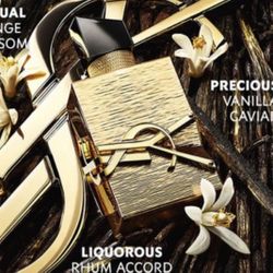 Ysl Vanilla Perfume Sealed Authentic Limited Edition