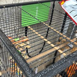 Bird Cage With Everything For Birds