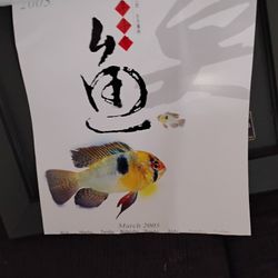 From Japan