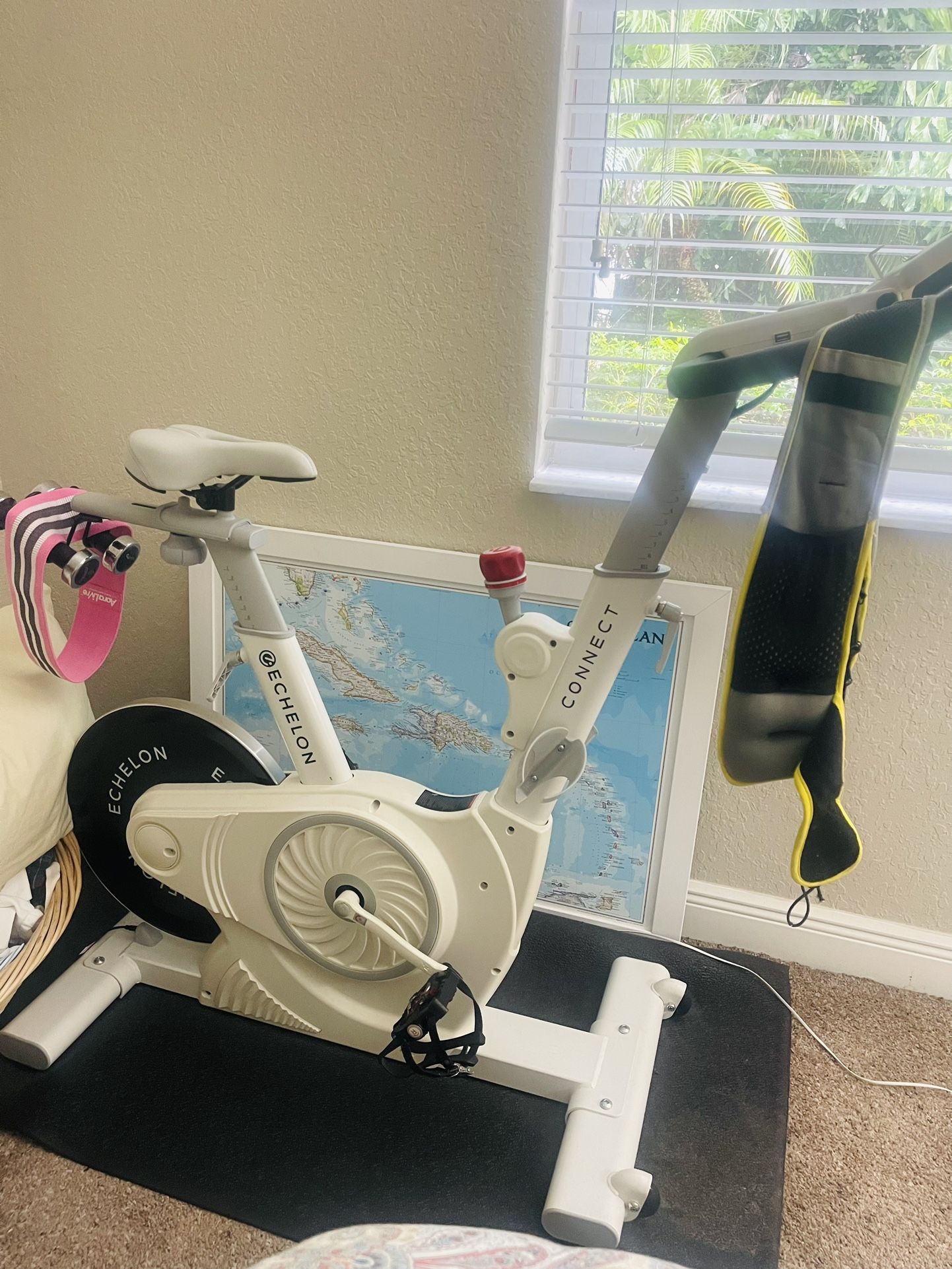 Echelon Indoor Cycle Bike Sports & Outdoors