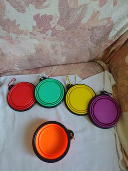 Collapsible pet water dish