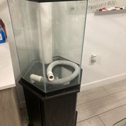 Hexagonal Reef Tank
