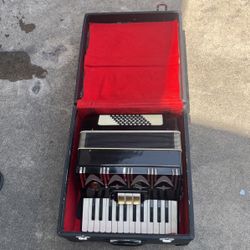 Accordion Parrot