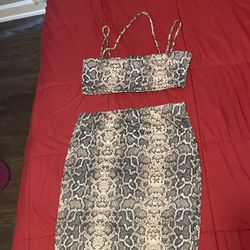 Skirt Set