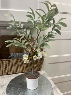 Faux plant $8