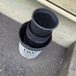 Free Pots