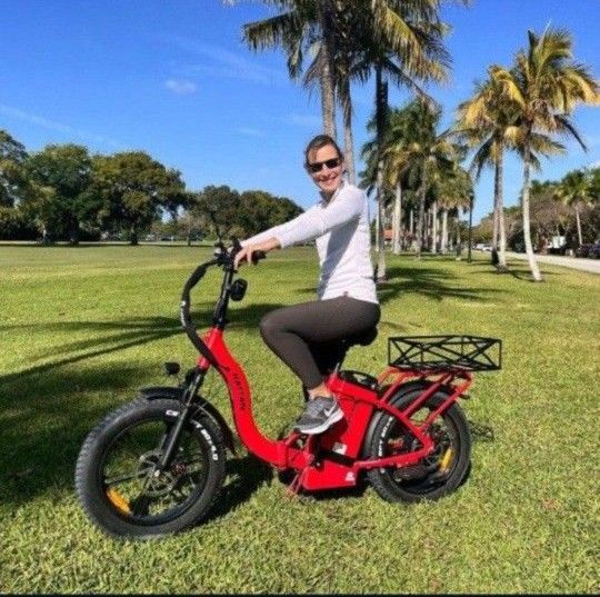 Long Distance Folding E-bike 80-120 Miles in 1 Charge