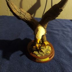 American Bald Eagle