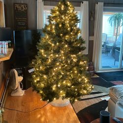 6 1/2  Foot Petit Christmas Tree 