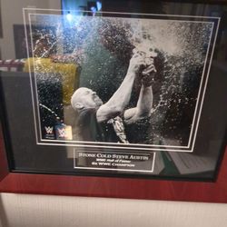 WWE Stone Cold Steve Austin Photo