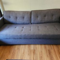 Large, Comfy Pullout Couch