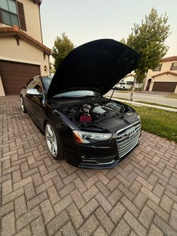 2013 Audi S5