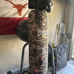 Everlast Punch Bag & Stand
