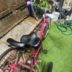 Adult Tricycle 