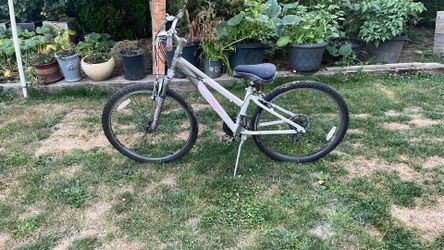 Trek Mountain Bike