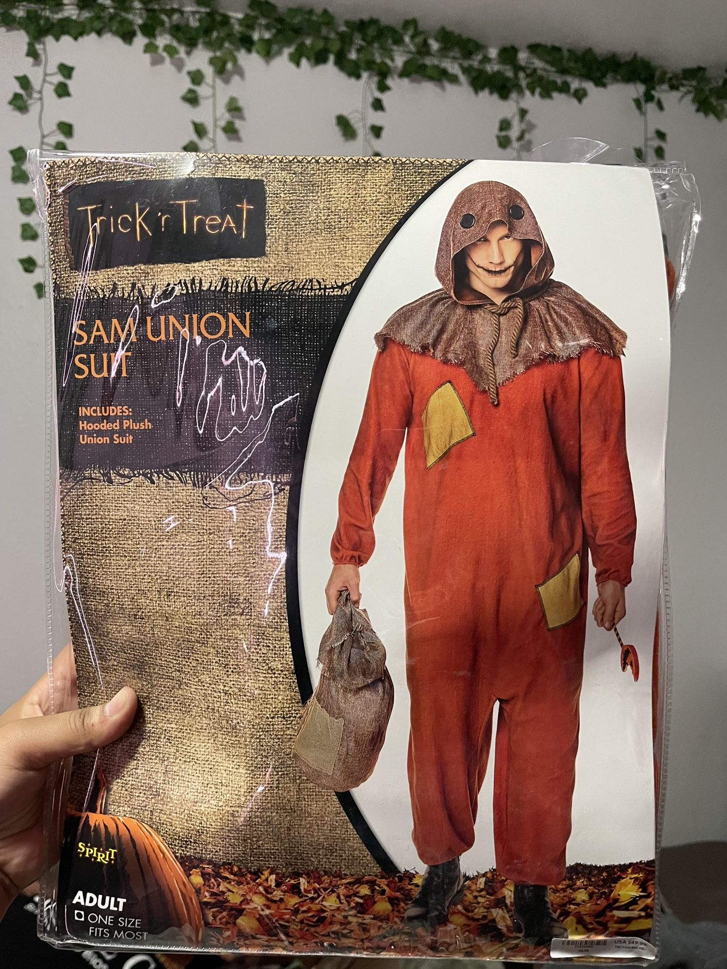Sam Costume from Spirit Halloween 