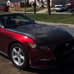 Carbon Fiber Hood Mustang 2015 -2017