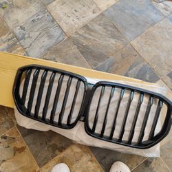 Oem Bmw X5 X6 Grill 