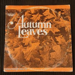 Vintage Record
