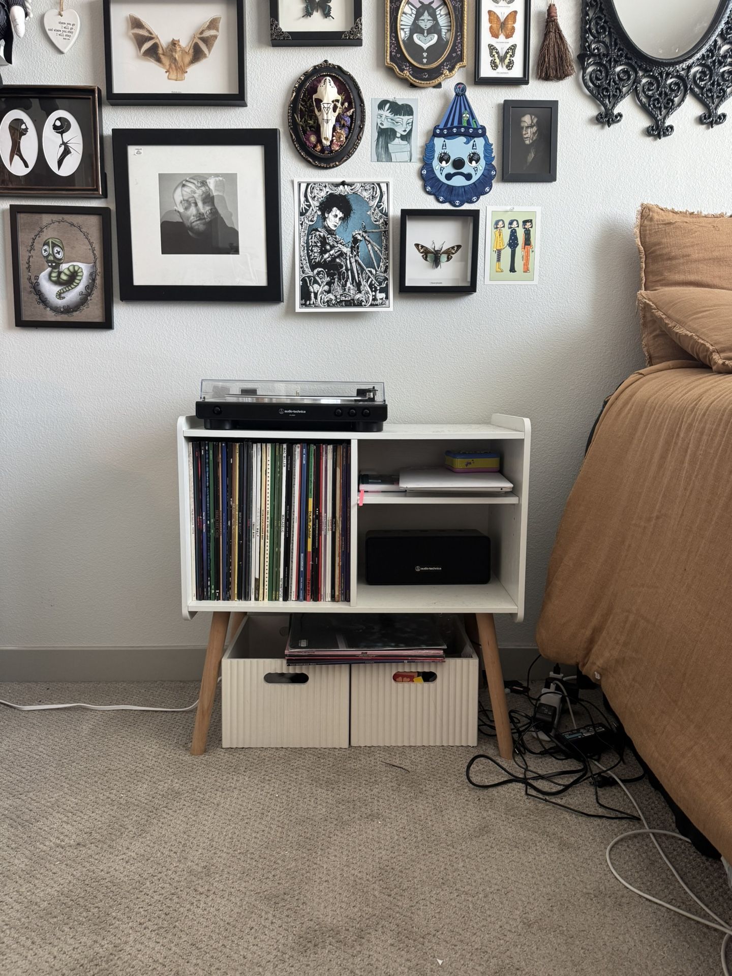 Vinyl Storage Display