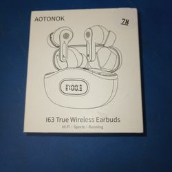 AOTONNOK 163 True Wireless Earbuds