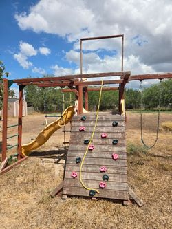 Tree Frog Playground Swing Set