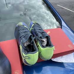 puma