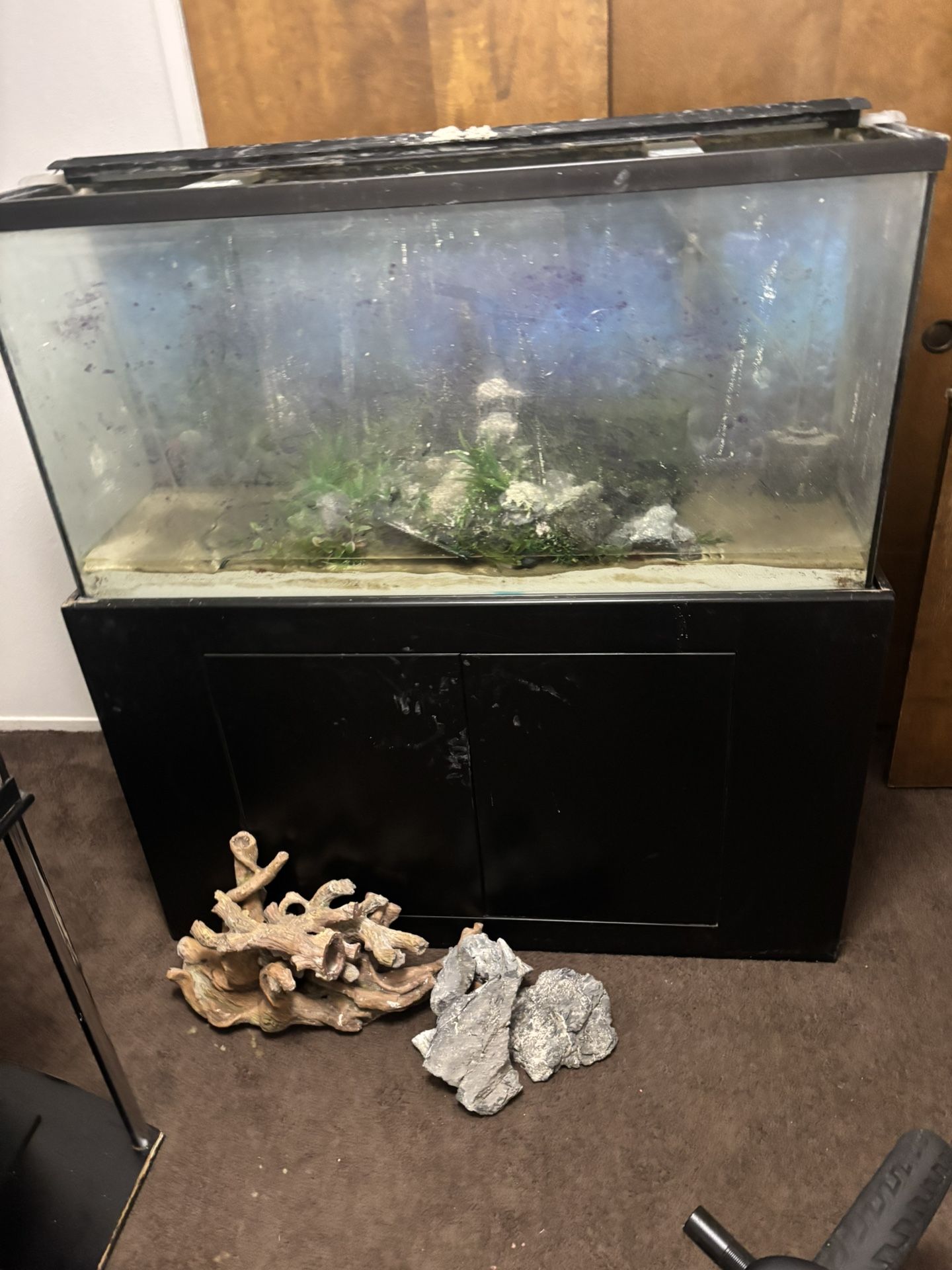80 Gallon Fish Tank