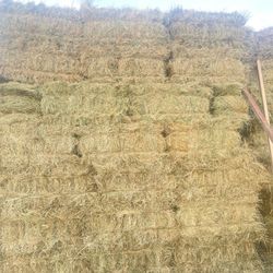 Local Hay For Sale 