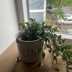 Rae Dunn Hanging Planter