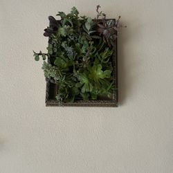 Living Plant Wall Art
