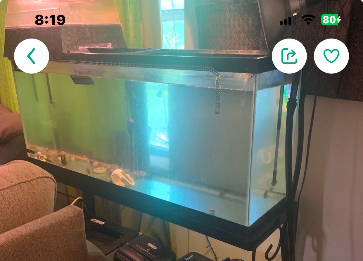 55 Gallon Tank With Light & Stand