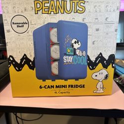 Mini Fridge