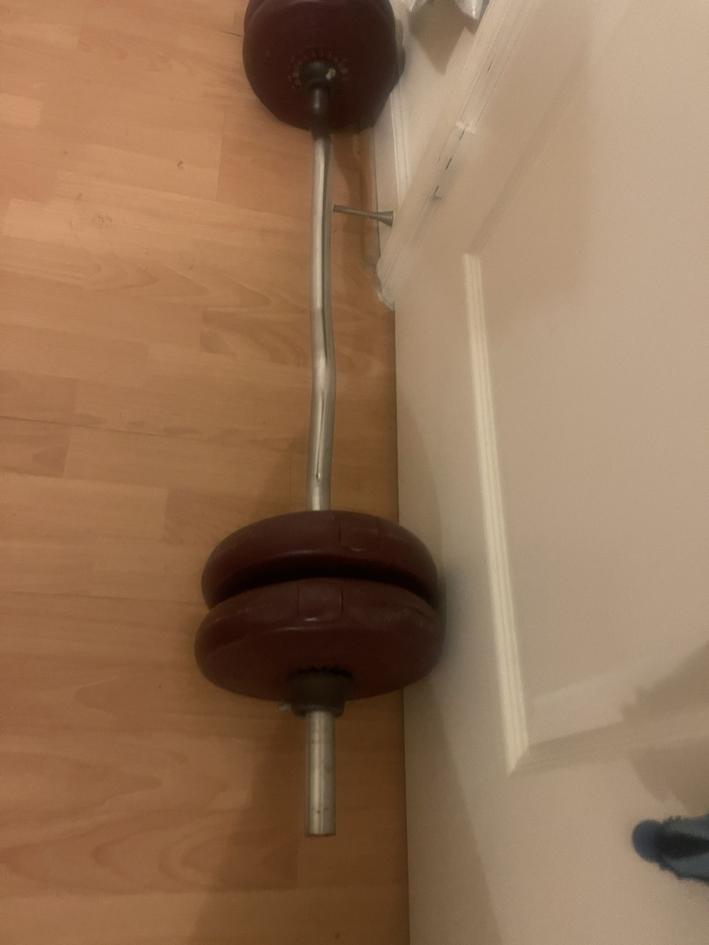 Curl Bar
