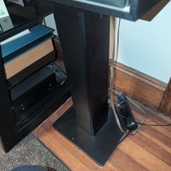 Bose 301 Speakers
