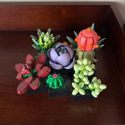 Lego Succulent Collection