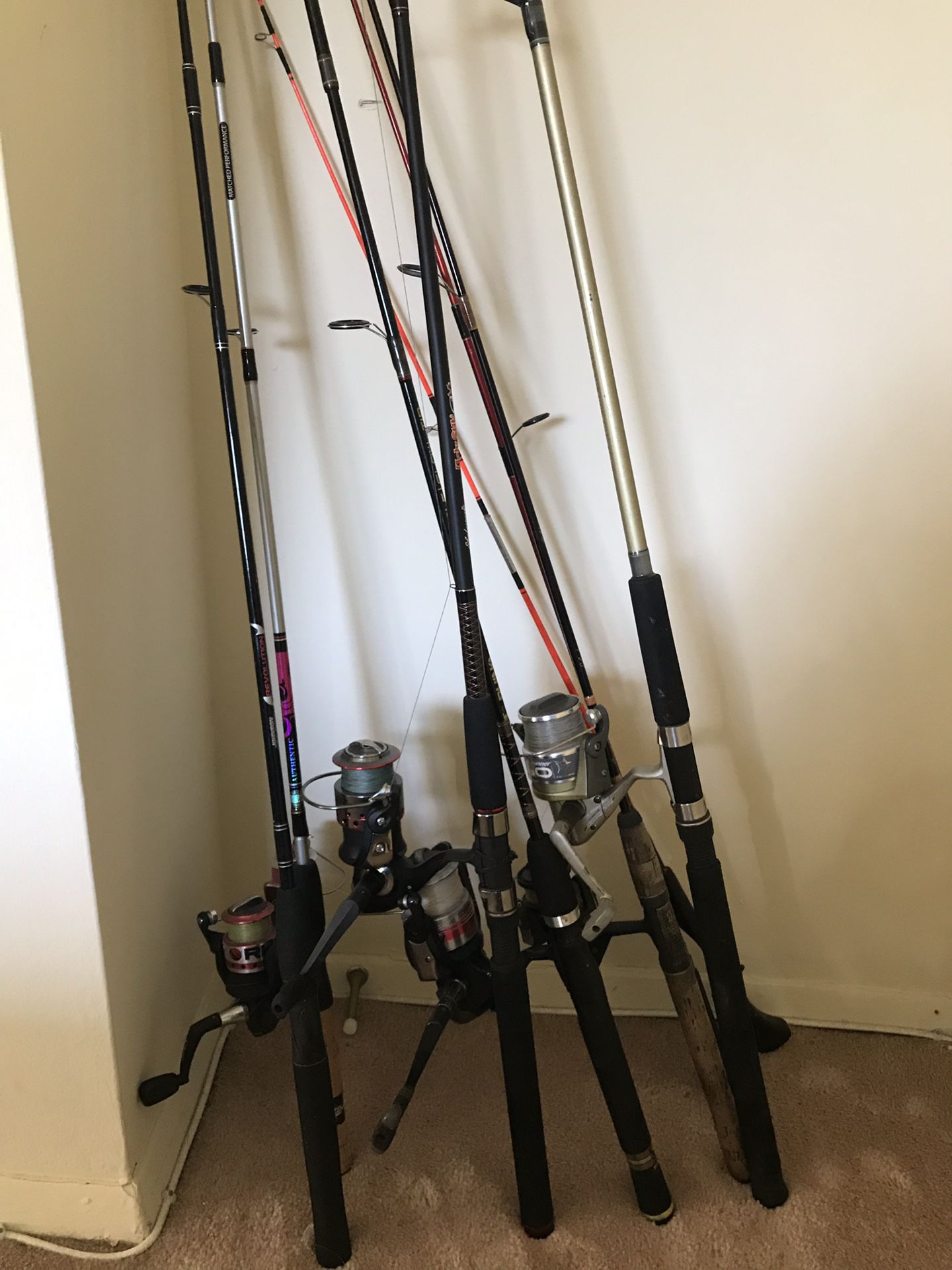 Fishing rods and equipments