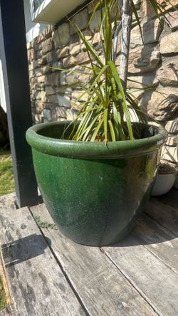 Two premium ceramic green planters plants included
