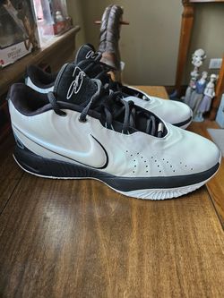 Nike LeBron XX1 sz 11.5