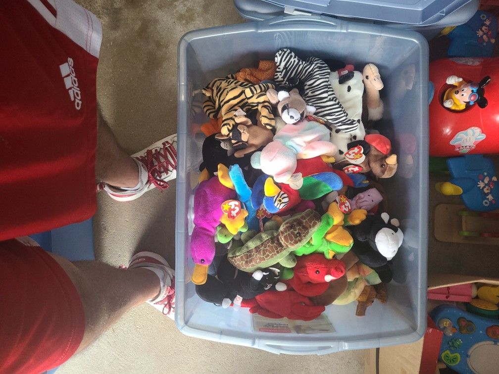 Box FULL of Beanie BABIES 100s Of Dollars Worth Must Go!!!