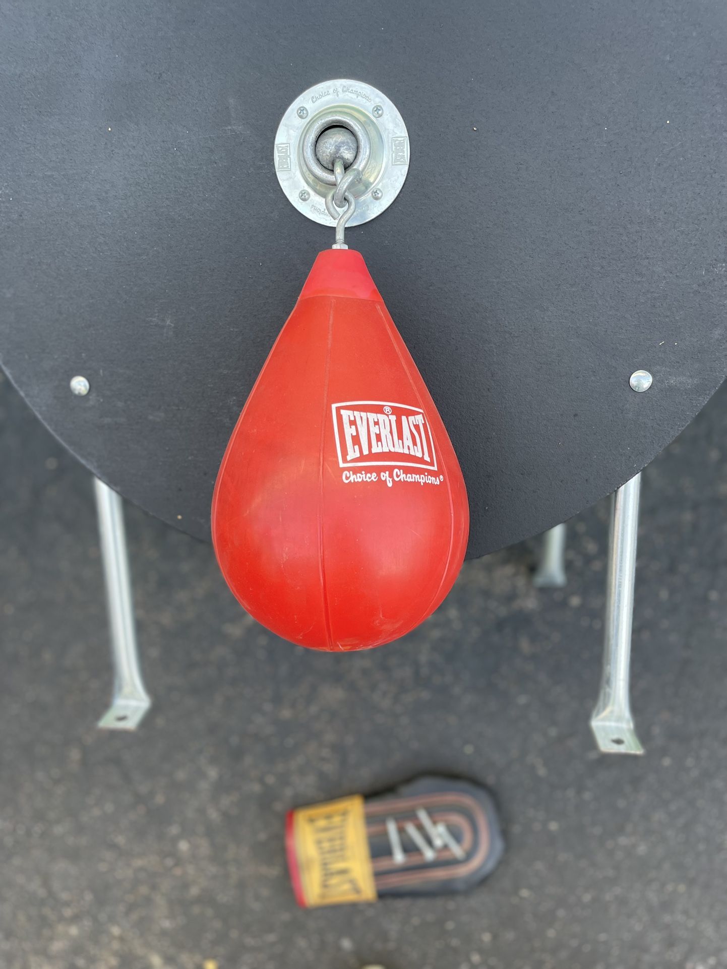 Everlast Speed Bag With Mount And glove