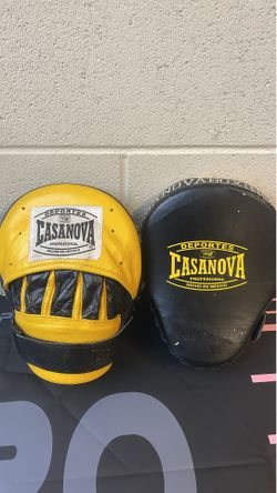Boxing focus mitts