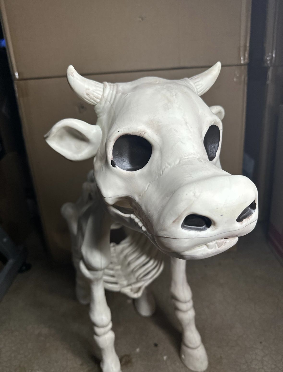 Red Shed Cow Skeleton Halloween Decoration Tractor Supply