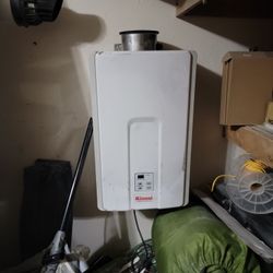 Tankless Water Heater - Natral Gas 