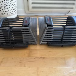 Set Of 2 Power Block 50 Adjustable Weights