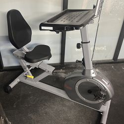 Sunny Indoor Stationary Recumbent Exercise Desk Bike
