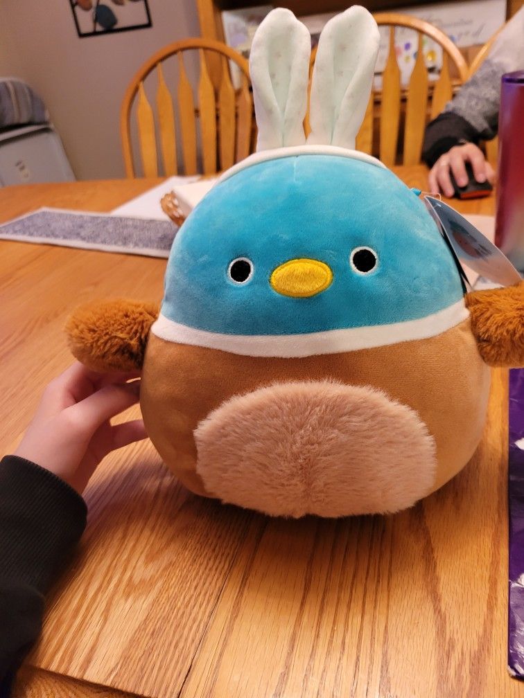 Rare Brand New Daksa Squishmallow