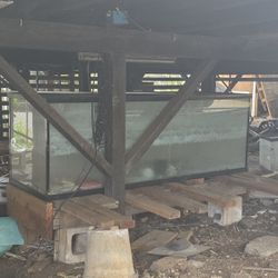 150gal Aquarium Only