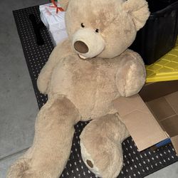 Costco Teddy Bear