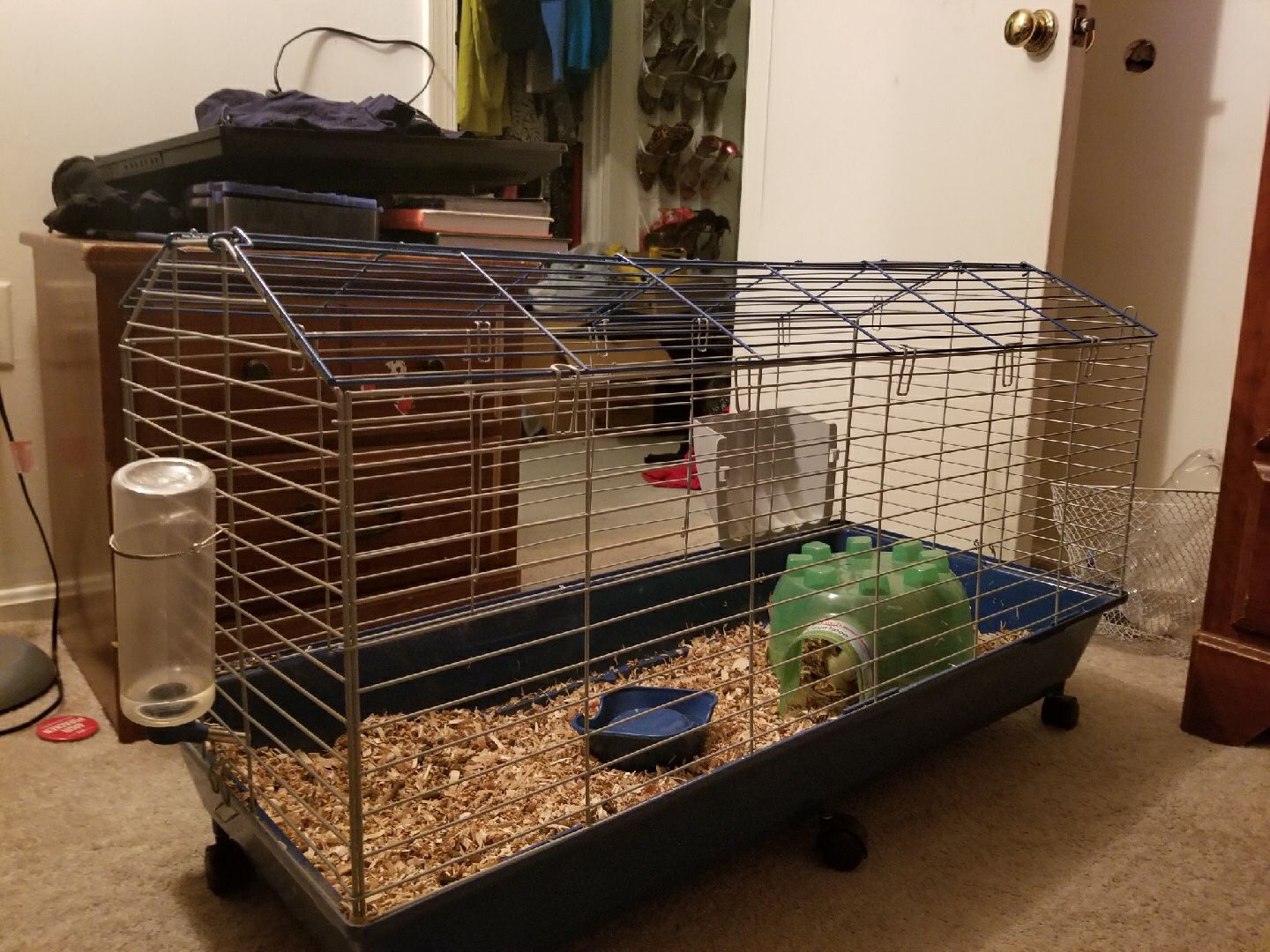 A Cage with accessories for a pets